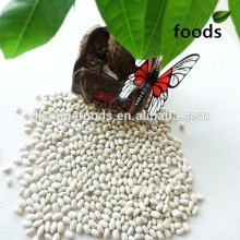 Kidney Agents for White Kidney Beans